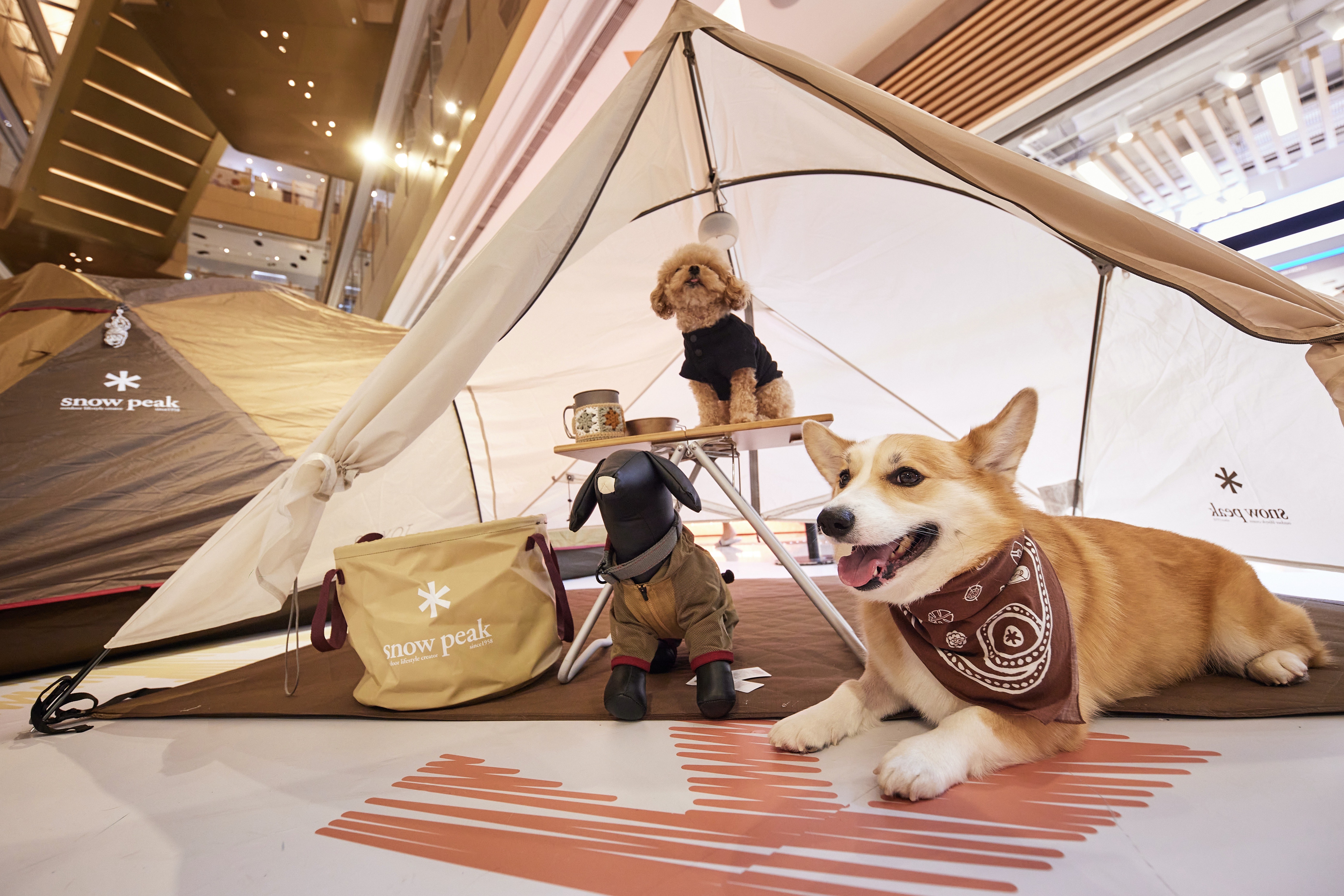 大玩日系高端戶外風！「CARRYin x Snow Peak」道の駅期間限定店