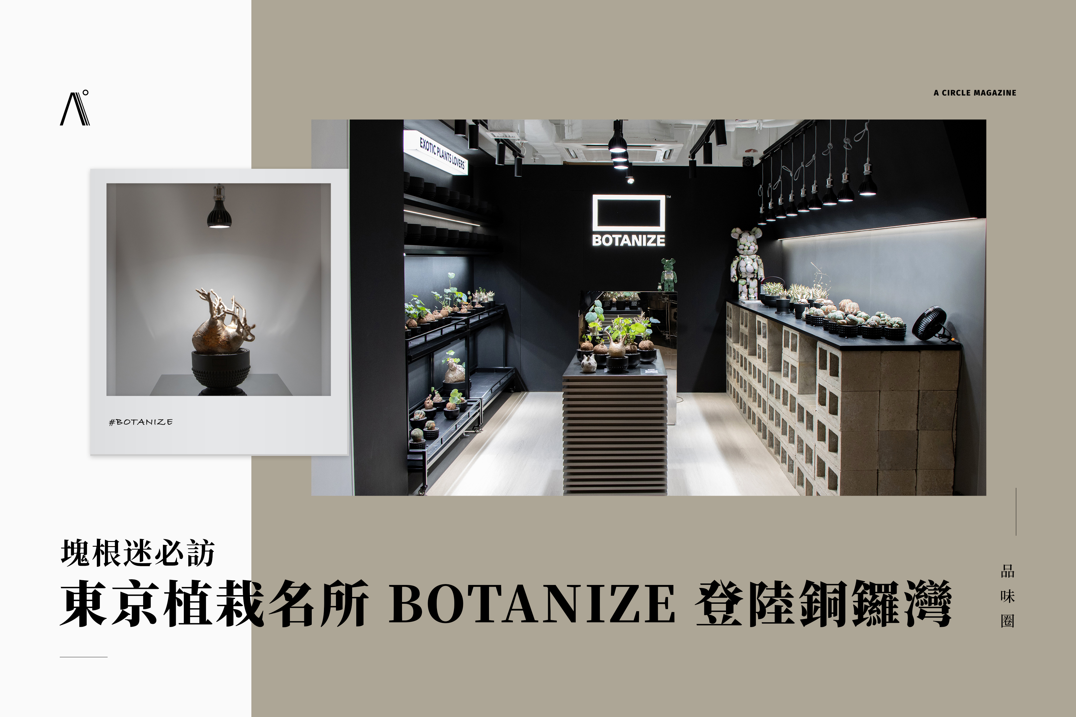 Botanize 塊根迷必訪!東京植栽名所 BOTANIZE 登陸銅鑼灣 - A Circle Magazine