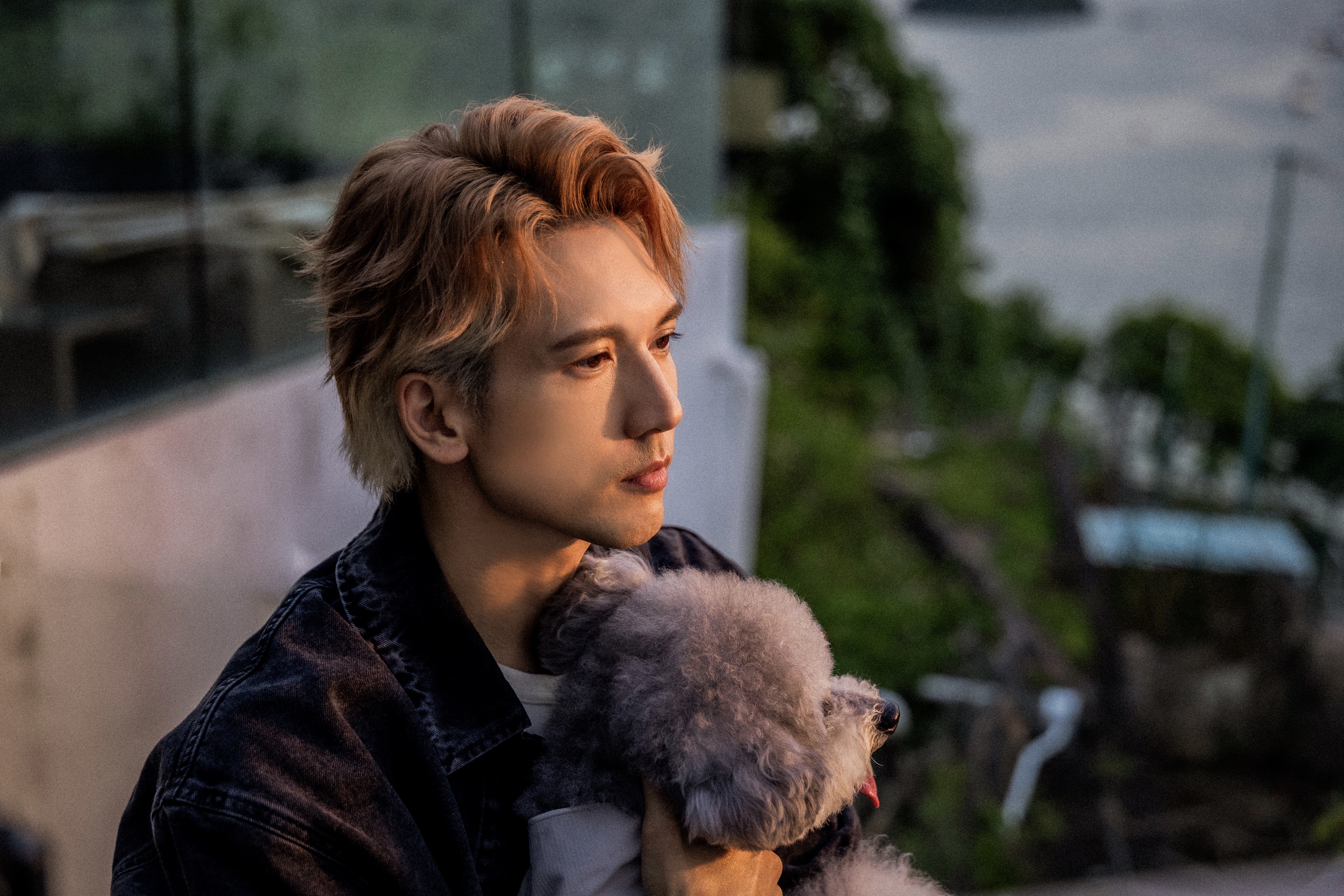 關智斌同狗狗拍 MV,〈My Little Tinker Bell〉感謝 fans 令自己成為娛樂圈中的 Peter Pan