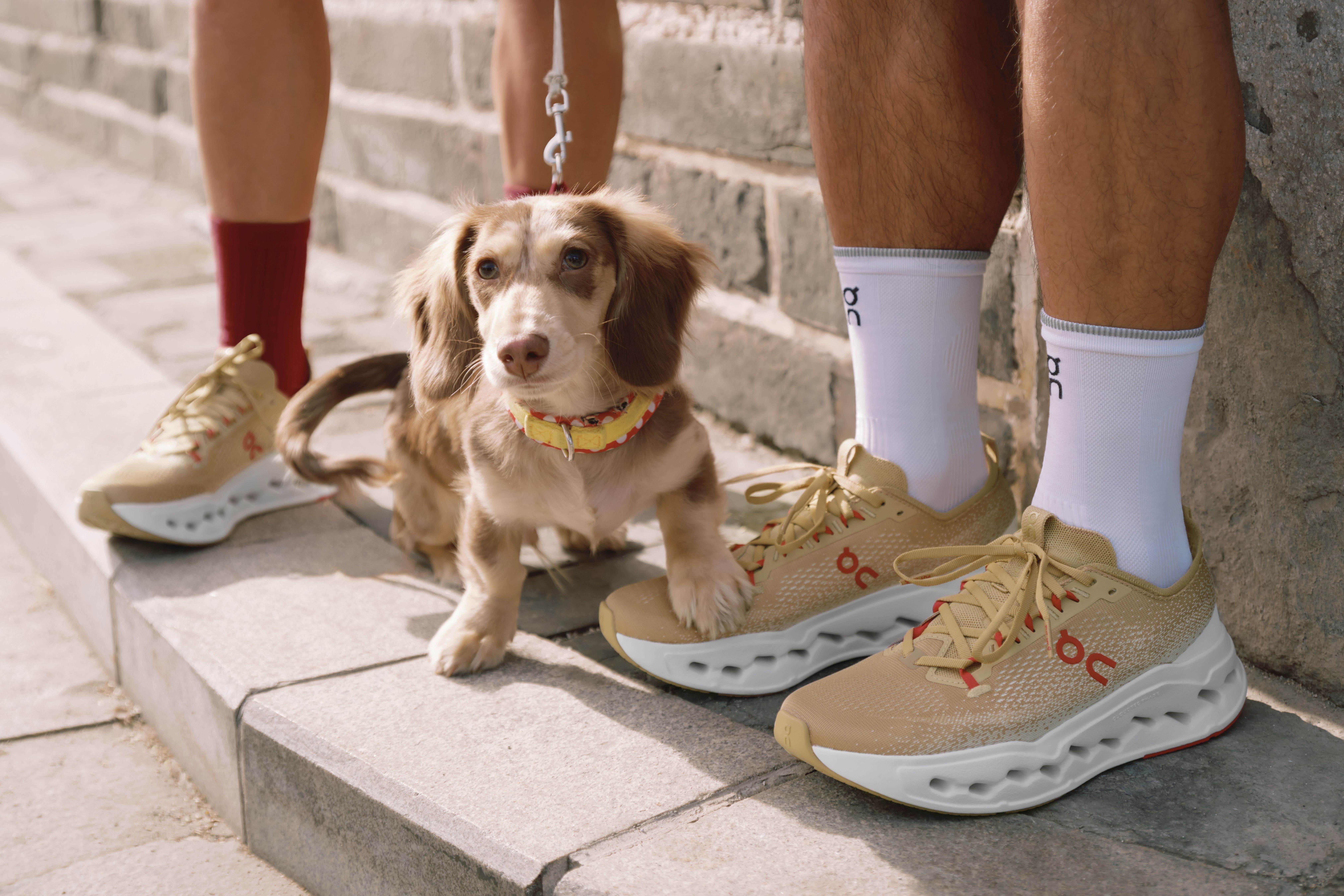 On 馬年限定新春系列：以「新年 ‧ 自有節奏 」鼓勵跑手